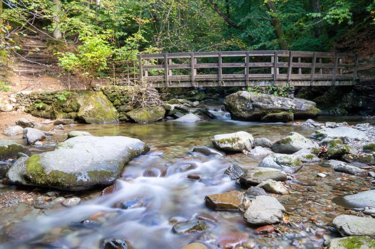 Tree Tops At The Falls - Great For Families, Central Location With Parking Ambleside Exterior photo